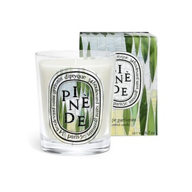 Diptyque Pin&egrave;de scented candle in clear glass vessel with botanical green printed gift box