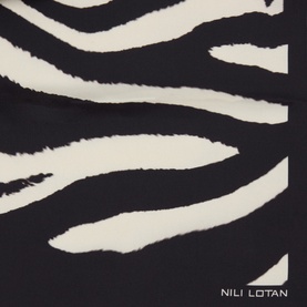 Nili Lotan scarf in zebra print, close-up of bold black and white stripe pattern detail