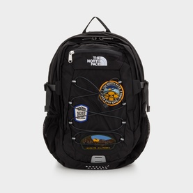 Borealis Bungee Backpack