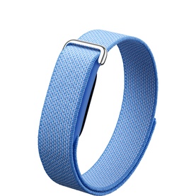 Google Fitbit Air Lavender Polished Silver