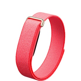 Google Fitbit Air Berry Champagne Gold