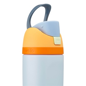 FreeSip&reg; Water Bottle Day Dreams 16oz