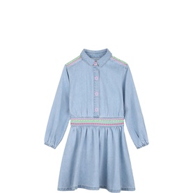 Embroidered Denim Flared Dress