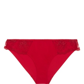 Intrigue Embroidered Briefs