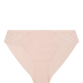 Subtile Lace Briefs