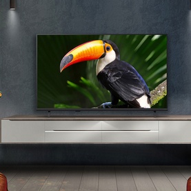 LG 55 Inch Mini LED 4K Smart TV in black, wall-mounted above a media unit, displaying a vibrant toucan image on screen