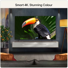 Large wall-mounted 4K smart TV displaying vibrant toucan image, with soundbar below, in a stylish living room setting