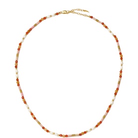 Beaded Gemstone & Pearl Short Necklace