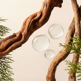 Rituals Homme Shave Foam ingredient droplets on driftwood with green foliage, cream background