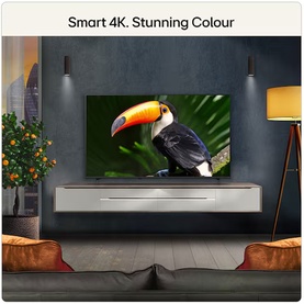 Smart 4K TV mounted on wall displaying vibrant toucan image, styled in a modern living room with ambient lighting