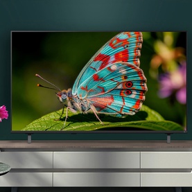 Flatscreen TV on a media unit displaying a vibrant butterfly macro image, set against a dark teal wall with soft ambient lighting