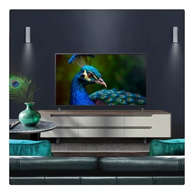 LG 43 Inch 4K UHD TV in black, displayed on a media unit in a styled living room with teal decor, showing a vivid peacock on screen