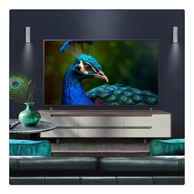 Large flatscreen TV mounted on wall unit displaying vivid peacock image, styled in living room with teal sofa and decorative plants