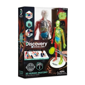 FAO Discovery 3D Human Anatomy Kit, multi-colour glow-in-the-dark model with translucent body parts, STEM learning set in box packaging