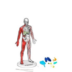 Discovery&trade; Mindblown 3D Human Anatomy Puzzle & Activity Set