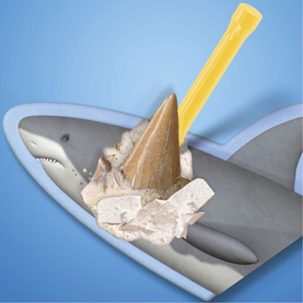 FAO Discovery multi-colour shark excavation toy kit with fossil tooth dig block and chisel tool