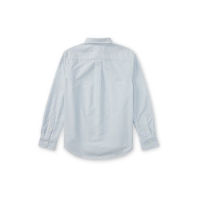 Ralph Lauren children's light blue stripe long-sleeve shirt, back view, with button-down collar and chest pleat detail