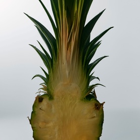 Fenty Skin Body Mist bottle with pineapple-inspired green crown design on light grey background