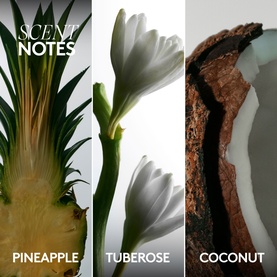 Fenty Skin Body Mist scent notes graphic showing pineapple, tuberose, and coconut fragrance ingredients