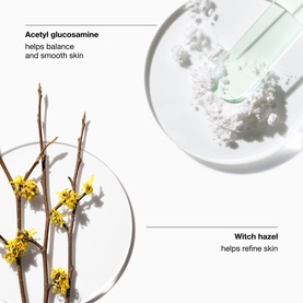 Skincare ingredient flat lay showing acetyl glucosamine powder, witch hazel botanical, and a glass dropper pipette on white background