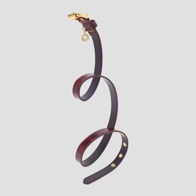 Maje gold-tone leather belt in burgundy, coiled to show full length with gold buckle and charm detail