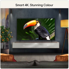 LG 65 Inch Mini LED 4K Smart TV in black, wall-mounted in a living room, displaying vibrant toucan image showcasing 4K colour quality