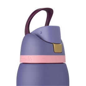 Close-up of a purple insulated water bottle with pink band, gold clip detail, and dark berry carry handle