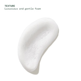 Aveda Rosemary Mint Invigorating Foaming Hand Wash texture swatch showing luxurious white foam consistency