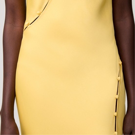 Buttoned Splice Dress