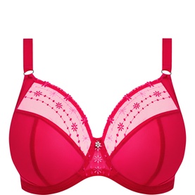 Matilda Plunge Bra