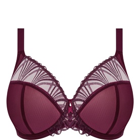 Reja Plunge Bra