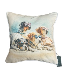 Weave Beach Boys Cushion