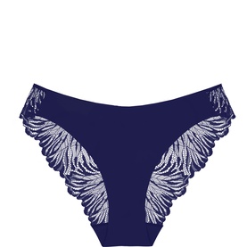 Pretty Micro Tai Briefs