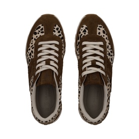Salamander brown leopard-print trainers with cream laces, suede and pony-hair panels, overhead flat-lay view