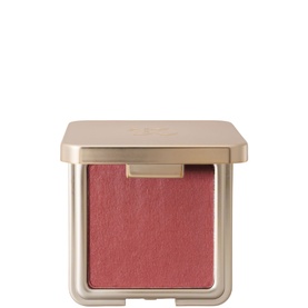 Soft Suede Blush