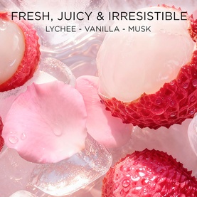 Lanc&ocirc;me Body Mist fragrance notes visual showing fresh lychee, strawberry, rose petal and ice cubes with lychee, vanilla and musk scent cues