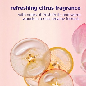 Maria Nila Hair Mask fragrance notes visual showing sliced citrus fruits and apple on a soft pink background