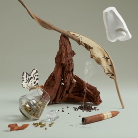 Penhaligon EDP fragrance shot with driftwood, butterfly, cigar, coffee beans and abstract nose sculpture on sage green background.