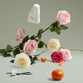 Penhaligon EDP fragrance styled with pink and white roses, tangerine, vanilla pods and abstract white sculptural form on sage green background