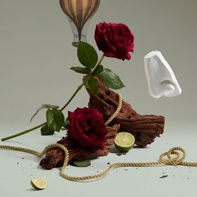 Penhaligon EDP fragrance styled with dark red roses, driftwood, rope, lime slices, hot air balloon, and a sculptural nose prop on a sage green