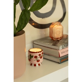 Paddywax A Dopo Tomato Vine Ceramic Candle in Heirloom Tomato, white vessel with red tomato print, styled on a shelf with books and plants.