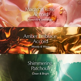 Estee Lauder EDP fragrance accord notes graphic showing Macaron Rose, Amber Embrace, and Shimmering Patchouli scent layers