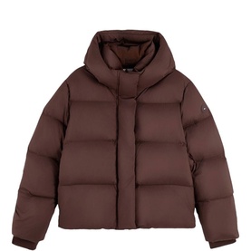 Tommy Hilfiger Deep Brown hooded puffer jacket with quilted panels, ribbed cuffs, and small logo badge on sleeve.