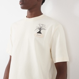 Model wearing Jacquemus The Palmier Logo T-Shirt in Calisson with palm tree graphic print on chest, round neck, short sleeves