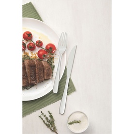Tramontina silver dinner cutlery set styled with a steak and tomato dish on a white plate with green linen napkin
