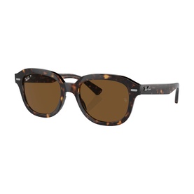 Square Sunglasses RB4398