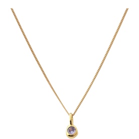 February Mini Birthstone Charm Necklace