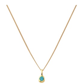 December Mini Birthstone Charm Necklace