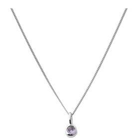 February Mini Birthstone Charm Necklace