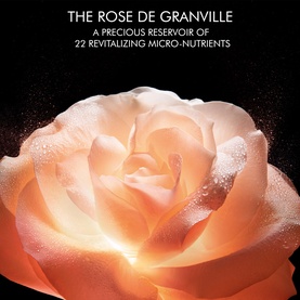 Dior Rose de Granville close-up; peach rose with water droplets, highlighting 22 revitalising micro-nutrients in this treatment mask.